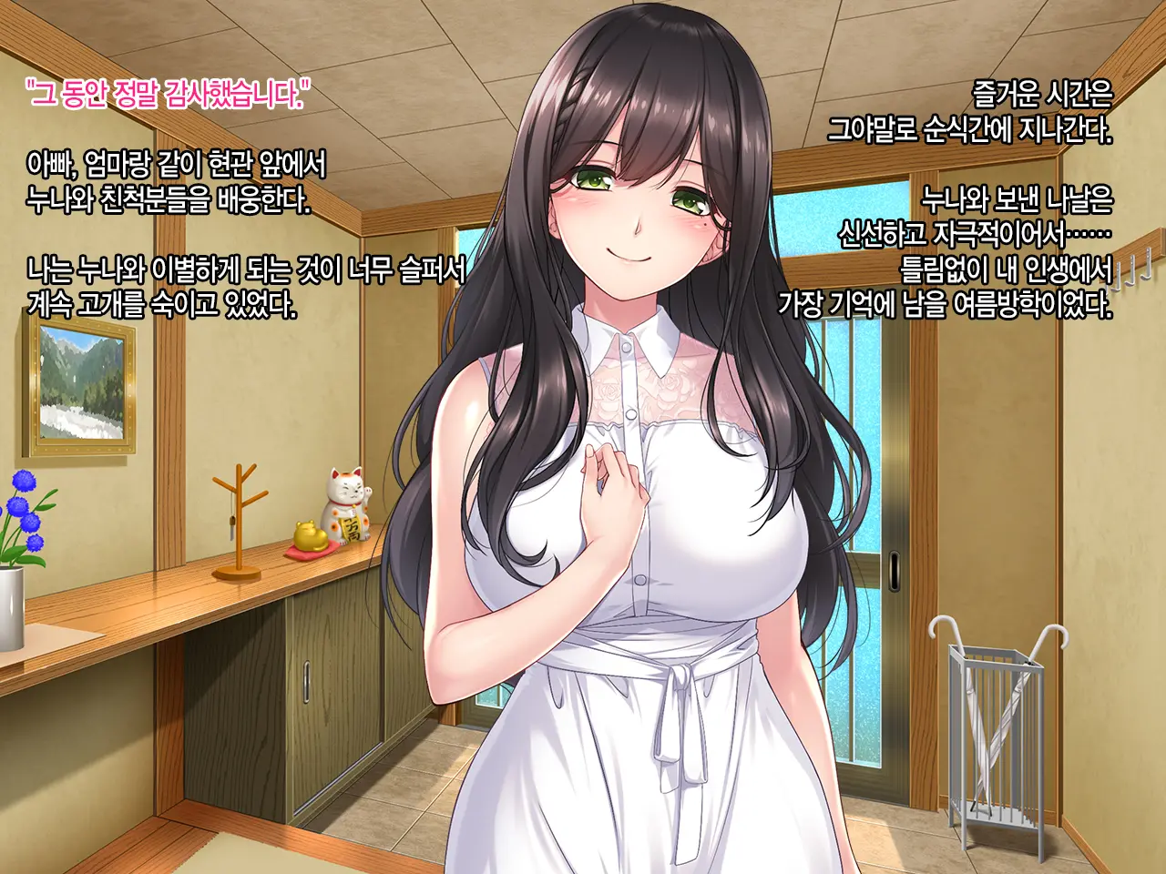 Boku To Itoko No Onee-Chan ~Natsuyasumi Amayakasare Inaka Seikatsu~